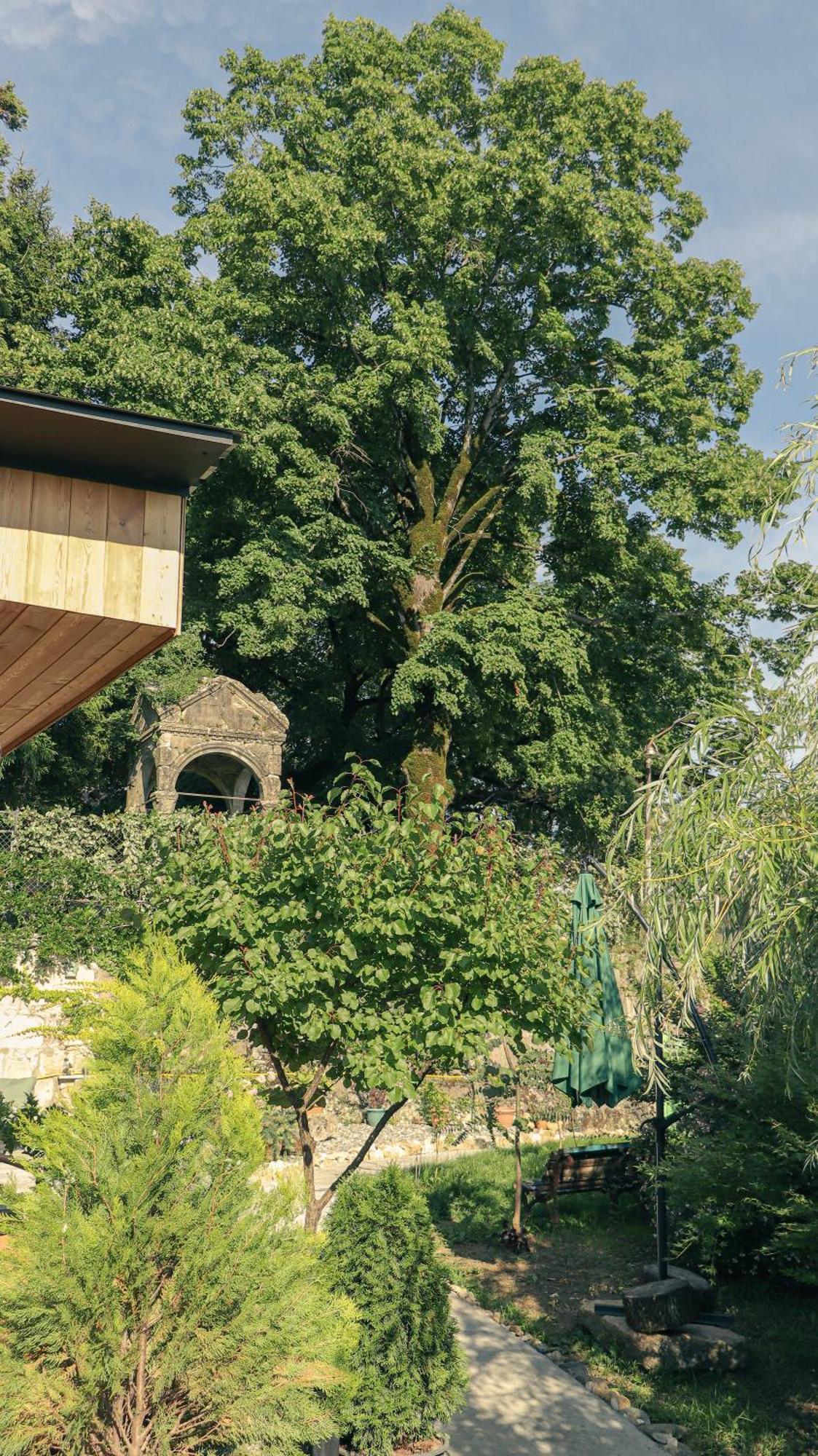 Garden Rooms In Kutaiszi Kültér fotó